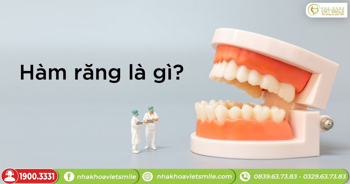 Hàm răng là gì?