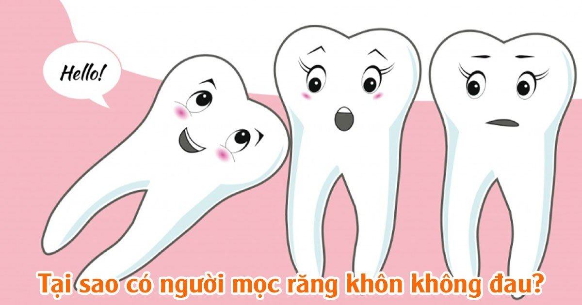 Tại sao có người mọc răng khôn không đau?